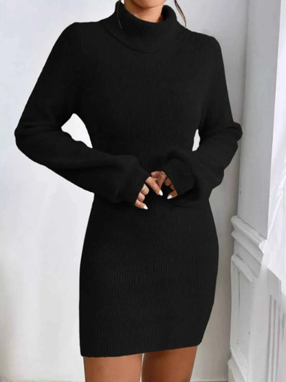 Turtleneck Ribbed Knit Sweater Dress