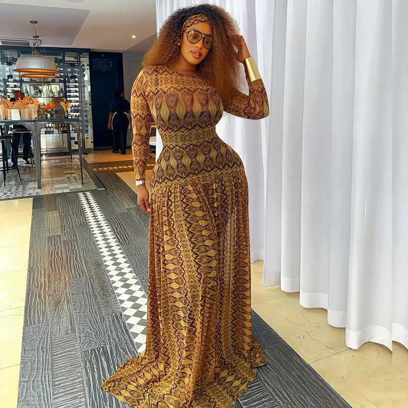 Elegant Retro Women Waist Slimming Micro Transparent A line Printing round Neck Long Sleeved Dress