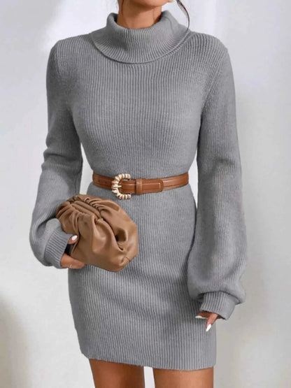 Turtleneck Ribbed Knit Sweater Dress