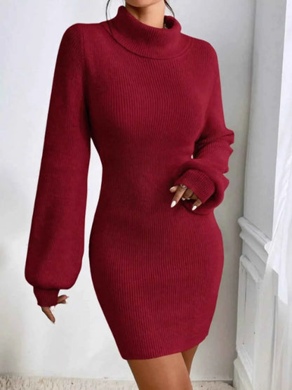 Turtleneck Ribbed Knit Sweater Dress