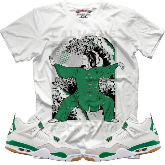 Calm TF Down (NIKE SB X AIR JORDAN 4 PINE GREEN) T-Shirt