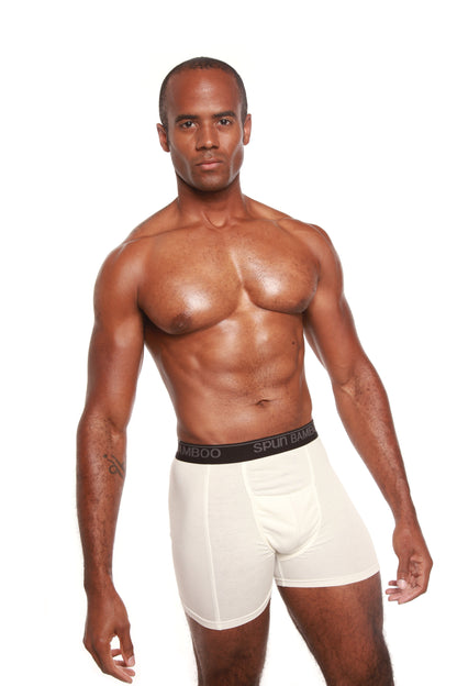 Men's Bamboo Viscose Boxer Briefs Underwear