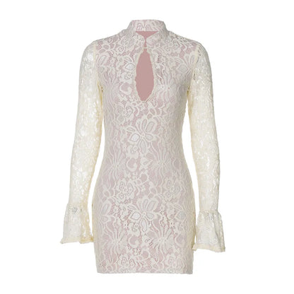 Women's Lace Dress Elegant Standing Collar Lace Long Sleeve Flower Above Knee Holiday Banquet