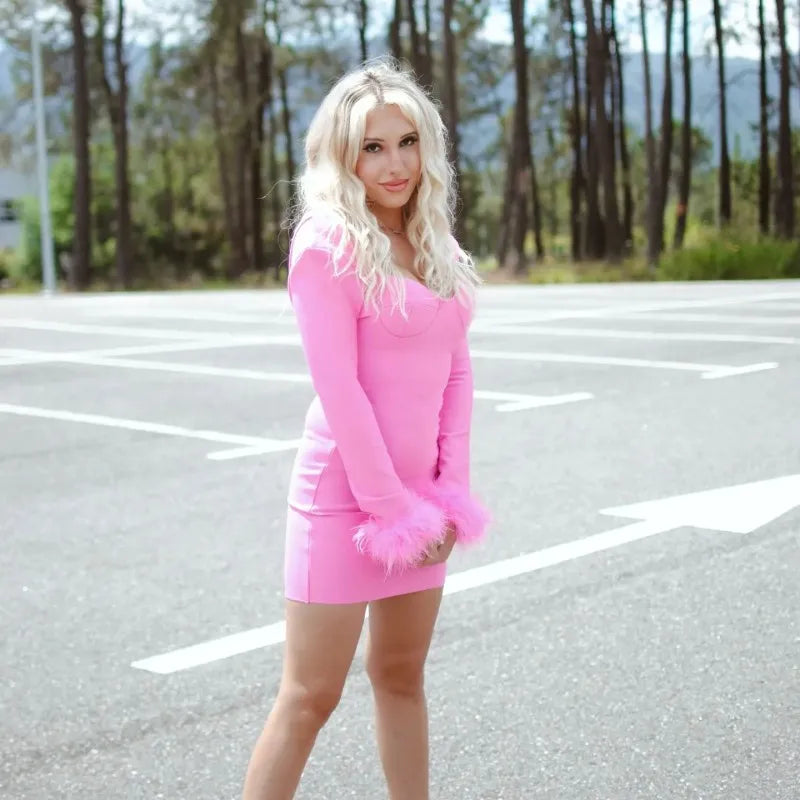 Classic Style Color Long Sleeve Mini Dress