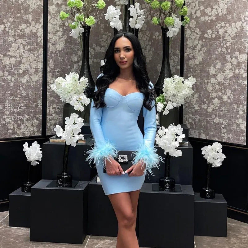 Classic Style Color Long Sleeve Mini Dress